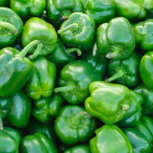 GREEN CAPSICUM 10KG
