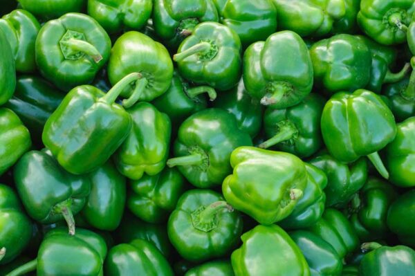 GREEN CAPSICUM 10KG