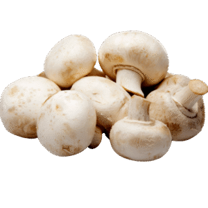 MUSHROOM 4KG