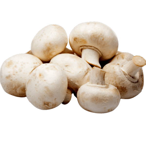 MUSHROOM 4KG