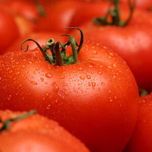 FRESH TOMATOES 10KG
